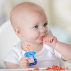 Baby Fruit Feeder Pacifier Food Feeder-Silicone Teething Toy