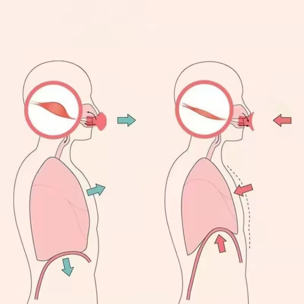 Face Shaper V Face Facial Slim Skin Care Tool - Jawline Exerciser Tool Men, Women