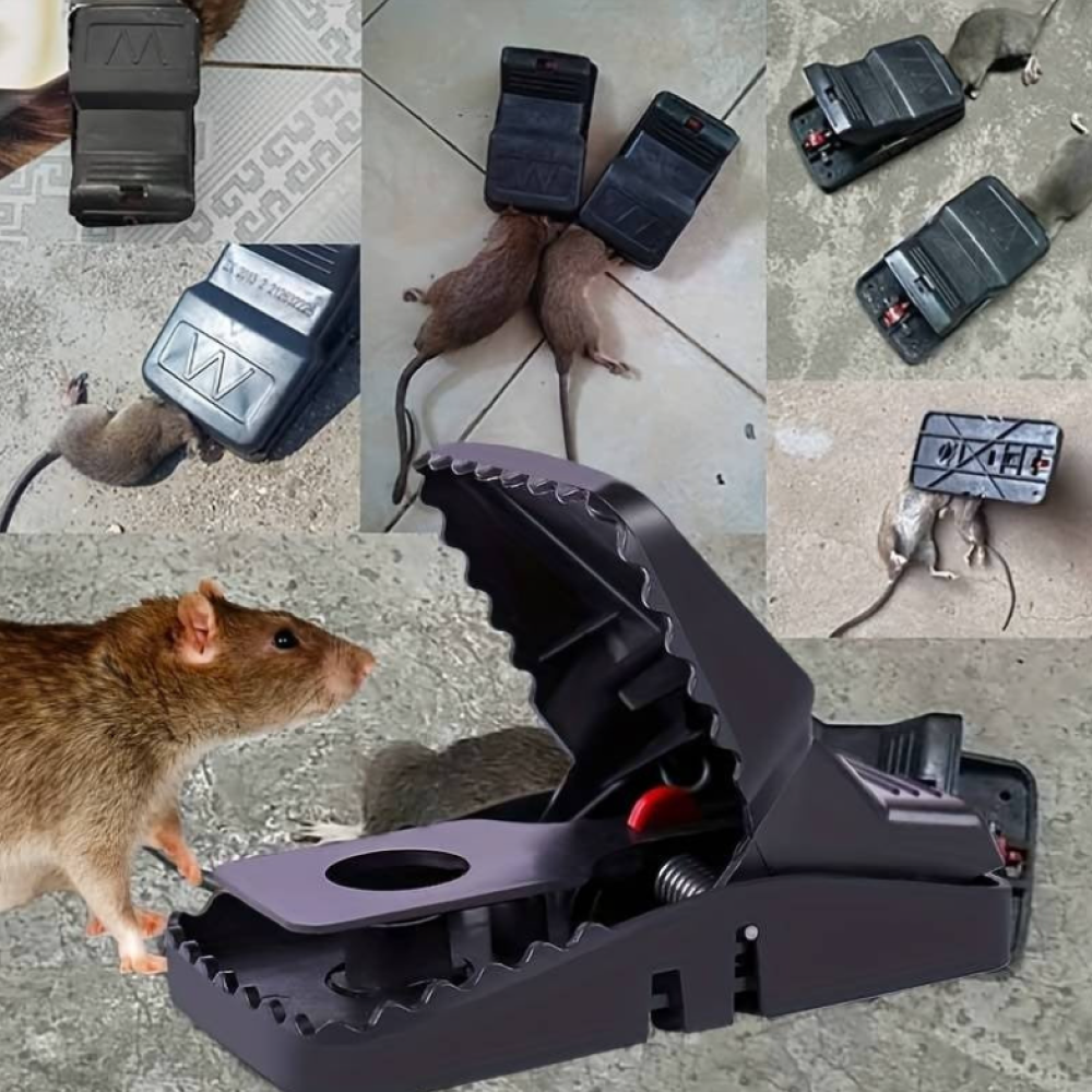 Rat Traps, Large Mice Traps for House, Mouse Trap Indoor Quick Effective Sanitary, Mice Snap Trap