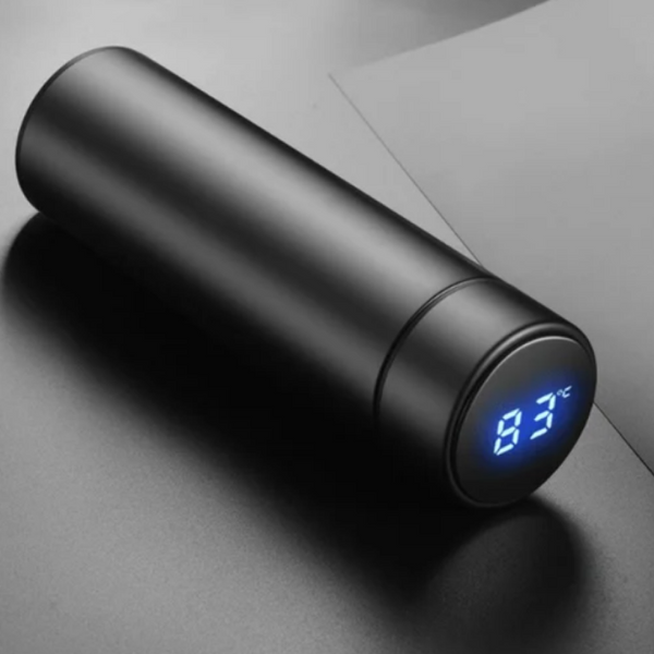 Hot and Cold Water Bottle with LED Temperature Display